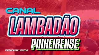 🇱🇷CANAL LAMBADÃO PINHEIRENSE I Spent 30 Days Dancing to LAMBADÃO PINHEIRENSE Heres What I Learned [upl. by Oesile]