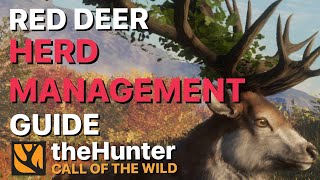 Ultimate Herd Management Guide for Red Deer Great One Grind on the Hunter Call of the Wild [upl. by Settle]