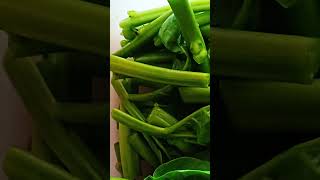 Guess this leafy vegetable gardening nutrition vegetableplants youtubeshorts nature trending [upl. by Germayne]