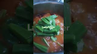 ladyfingersoupwithmeat [upl. by Wicks51]