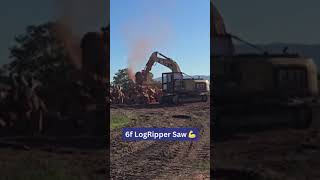 Mountains of Firewood  X18 Excavator Wood Saw sawquip [upl. by Perkins]