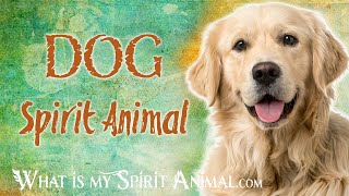 Dog Spirit Animal  Dog Totem amp Power Animal Dog Symbolism amp Meanings [upl. by Dorweiler52]