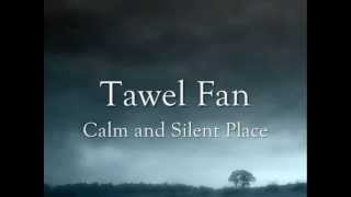 Tawel Fan  Celt geiriau  lyrics [upl. by Euqcaj640]