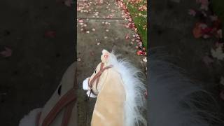 🍂Cantering through the leafs💋 equestrian horse morecontentcoming horseriding fypシ゚viral [upl. by Case]