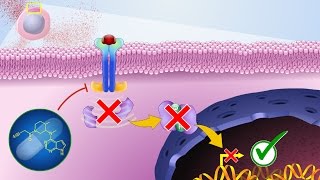 Mechanism of Action of JAK Inhibitors [upl. by Artinek]