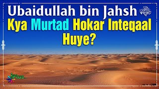 Ubaidullah bin Jahsh RA Kya Murtad Hokar Inteqaal Huye  Tareekh e Islam Ep 47  Dr Ajmal Manzoor [upl. by Klos31]