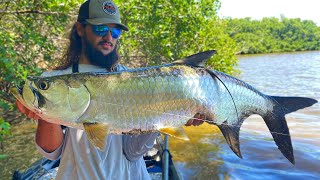 Fishing for BIG TARPON in the Mangroves [upl. by Langham]