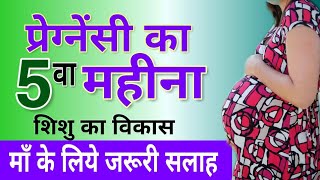 Pregnancy Month 5  5 Month Pregnancy Baby Weight  गर्भावस्था का पांचवा महीना  5 मंथ प्रेगनेंसी [upl. by Hsan977]