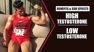 HIGH Testosterone vs LOW Testosterone  info by Guru Mann [upl. by Griffis]