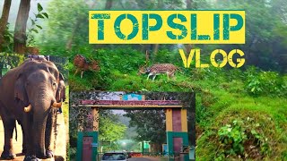 Topslip Tourist places Tamil  Elephant Camp  Anaimalai Tiger Reserve Forest [upl. by Erme]