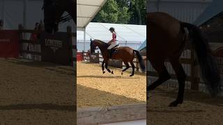 warmup arena at the longines global champion tour in london [upl. by Onibas]