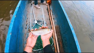 Pesca de cubos sabaletas y sabalos en el rio esmeraldas Ecuador prt 2 [upl. by Lahcear]