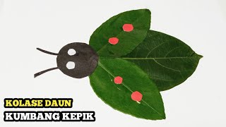 KOLASE DARI DAUN  Cara Membuat Kolase Kumbang Kepik Dari Daun Jeruk  Kerajinan Tangan [upl. by Howes]