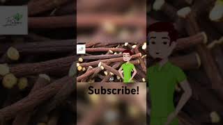 Iicroise Healthy lifestyle Farming plants health licorice garden farming shorts anime [upl. by Birdt632]