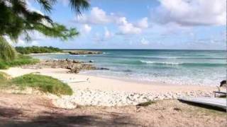 Zeds Surfing Adventures  Surfers Point Barbados [upl. by Eenert624]