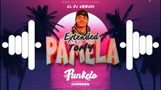 Peso Pluma Tomy Y Pamela Open Show Remix DJ PUNKETO [upl. by Katharyn]