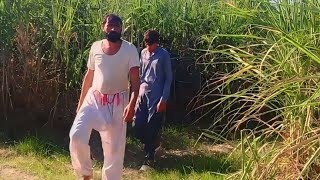 in village Punjab village vlogs tanvir swimming 🥽 pools Tubewell 😱😱😱 [upl. by Anaya556]