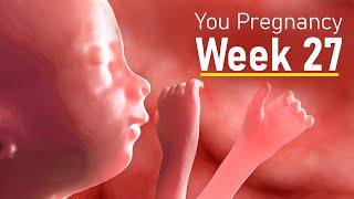 How big is your baby at 27 weeks pregnant  Your body at week 27 of pregnancy [upl. by Namielus113]