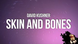 David Kushner  Skin and Bones Lyrics [upl. by Natsyrk244]