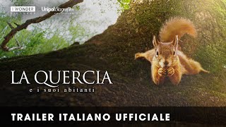 LA QUERCIA E I SUOI ABITANTI  Trailer italiano ufficiale HD [upl. by Lisabet]