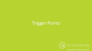 Trigger Point Therapy The Technique amp Process [upl. by Trainor]