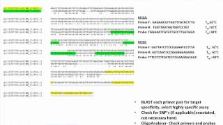 qPCR Design Strategies for Specific Applications [upl. by Nairrod427]