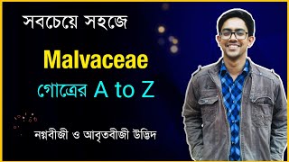 Malvaceae গোত্র A to Z 🔥 নগ্নবীজী ও আবৃতবীজী উদ্ভিদ  HSC Biology 1st Paper Chapter 7 Biology Adda [upl. by Raama]