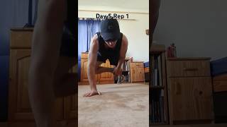 Push up Challenge💪🔥 pushups workoutchallenge shorts [upl. by Sloatman]