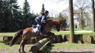 Vielseitigkeitsreiten Geländestrecke Reiten Springpferde Buschreiter Millitary horseriding [upl. by Glad]