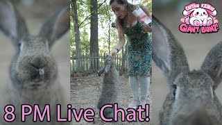 Giant Bunz  Flemish Giant Bunny Rabbit Stream  Live Chat  Day 92  20241012 [upl. by Walke626]