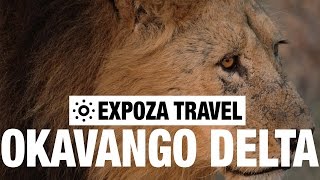 Okavango Delta Vacation Travel Video Guide [upl. by Vogeley]