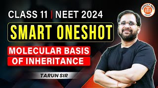 MOLECULAR BASIS OF INHERITANCE CLASS 12 ONE SHOT  NEET 2024  SMART ONE SHOT  BOTANY BY TARUN SIR [upl. by Mixie]