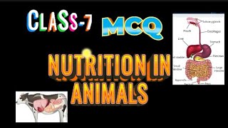 NUTRITION IN ANIMALS  CLASS 7  MCQ  NCERT  CBSE [upl. by Nadeau245]