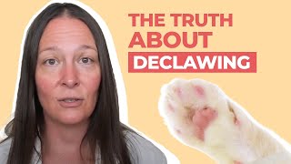 The Truth About Declawing Cats What a Vet Wants You to Know [upl. by Aneerhs]