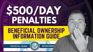 🚨 Avoid 500Day Fines Beneficial Ownership Filing Walkthrough [upl. by Alithea]