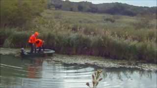 Chasse sanglier en Camargue [upl. by Cloutman]