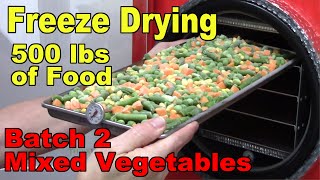 Freeze Drying Your First 500 lbs of Food  Batch 2  Mixed Vegetables [upl. by Katrina]