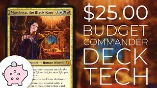 Marchesa the Black Rose  EDH Budget Deck Tech 25  Theft  Magic the Gathering  Commander [upl. by Elyk739]