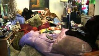 Millions of Australians living as hoarders experts [upl. by Giovanna]