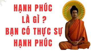 Hạnh Phúc Là Gì Đừng Tìm Kiếm Nữa Đây Là Câu Trả Lời [upl. by Segal531]