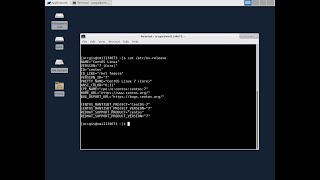 How to install and configure ArcGIS Server on Linux [upl. by Doe860]