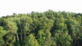 Nunnelly Farm on the Piney River [upl. by Norford]