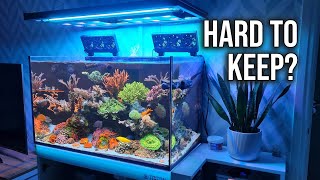 Keeping A Saltwater Aquarium Is EASY Reef Tank Maintenance [upl. by Ihteerp]