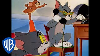 Tom amp Jerry in italiano  La Tua Guida ai Cortometraggi Candidati agli Oscar  WB Kids [upl. by Leiram337]