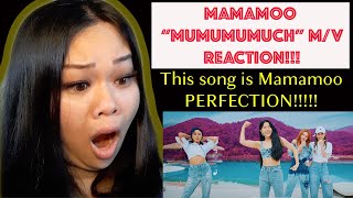 MAMAMOO quotMUMUMUMUCHquot MV REACTION  This song is literally PERFECT Mamamoo blew me the F away [upl. by Peggir]