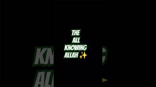 Allahs Mercy amp Forgiveness foryou spirituality motivation viralvideo short shorts [upl. by Inor]