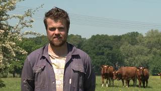 Natuurinclusieve landbouw Jacob van Emst koopt grond voor natuurbeheer in de uitwaarden van Hattem [upl. by Allecsirp]