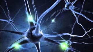 quotMIRACLEquot NERVE REGENERATION  16 Hz ALPHA BINAURAL BEATS MEDITATION MUSIC [upl. by Gigi]