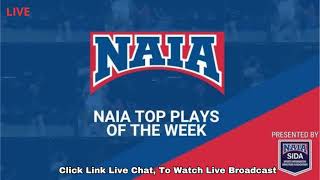 Olivet Nazarene IL vs Siena Heights  LIVE College Football 2024 [upl. by Titus]