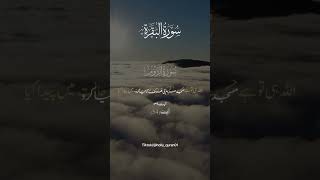 Surah Baqrah with Urdu translation tilawat quranshorts [upl. by Livingston655]